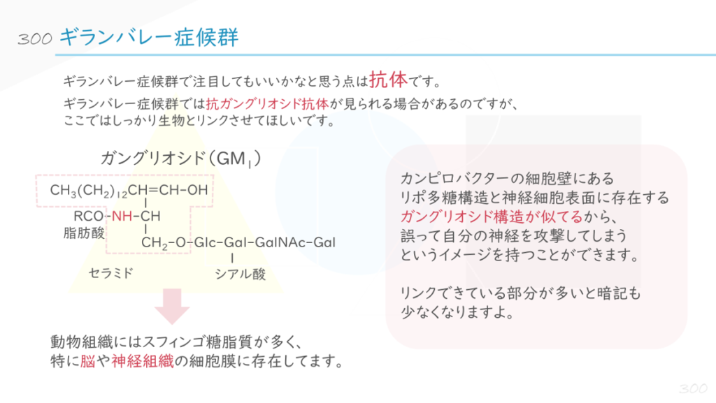 ギランバレー症候群で注目してもいいかなと思う点は抗体です。
ギランバレー症候群では、抗ガングリオシド抗体が見られる場合があるのですが、
ここではしっかり生物とリンクさせてほしいです。
動物組織には、スフィンゴ糖脂質が多く、特に脳や神経組織の細胞膜に存在してます。
カンピロバクターの細胞壁にある
リポ多糖構造と神経細胞表面に存在する
ガングリオシド構造が似てるから、
誤って自分の神経を攻撃していてしまう
というイメージを持つことができます。
リンクできている部分が多いと暗記も少なくなりますよ。